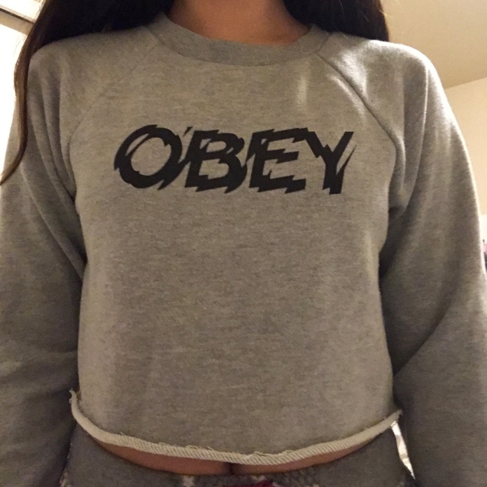 gray cropped Obey sweater